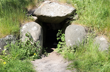 ingång
